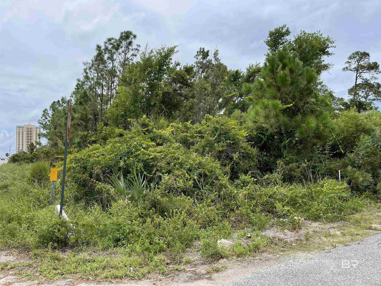 13500 Perdido Key Drive - Photo 1