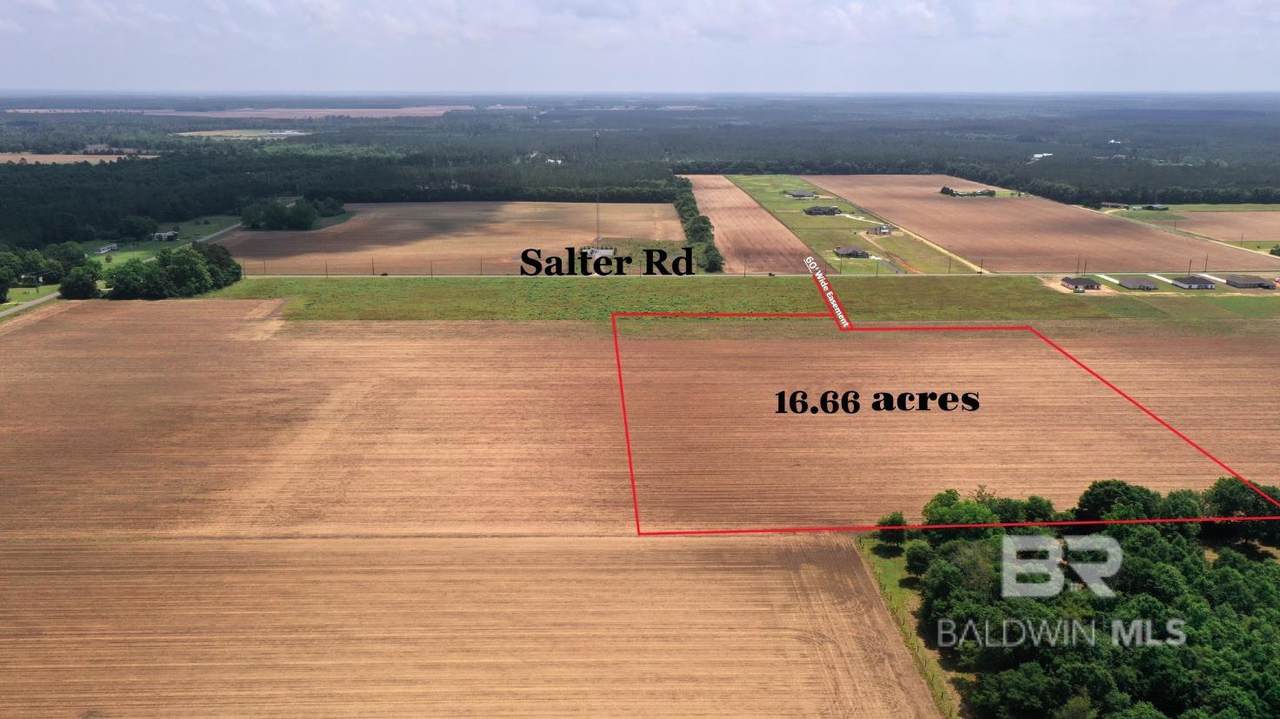 1 Salter Road - Photo 1