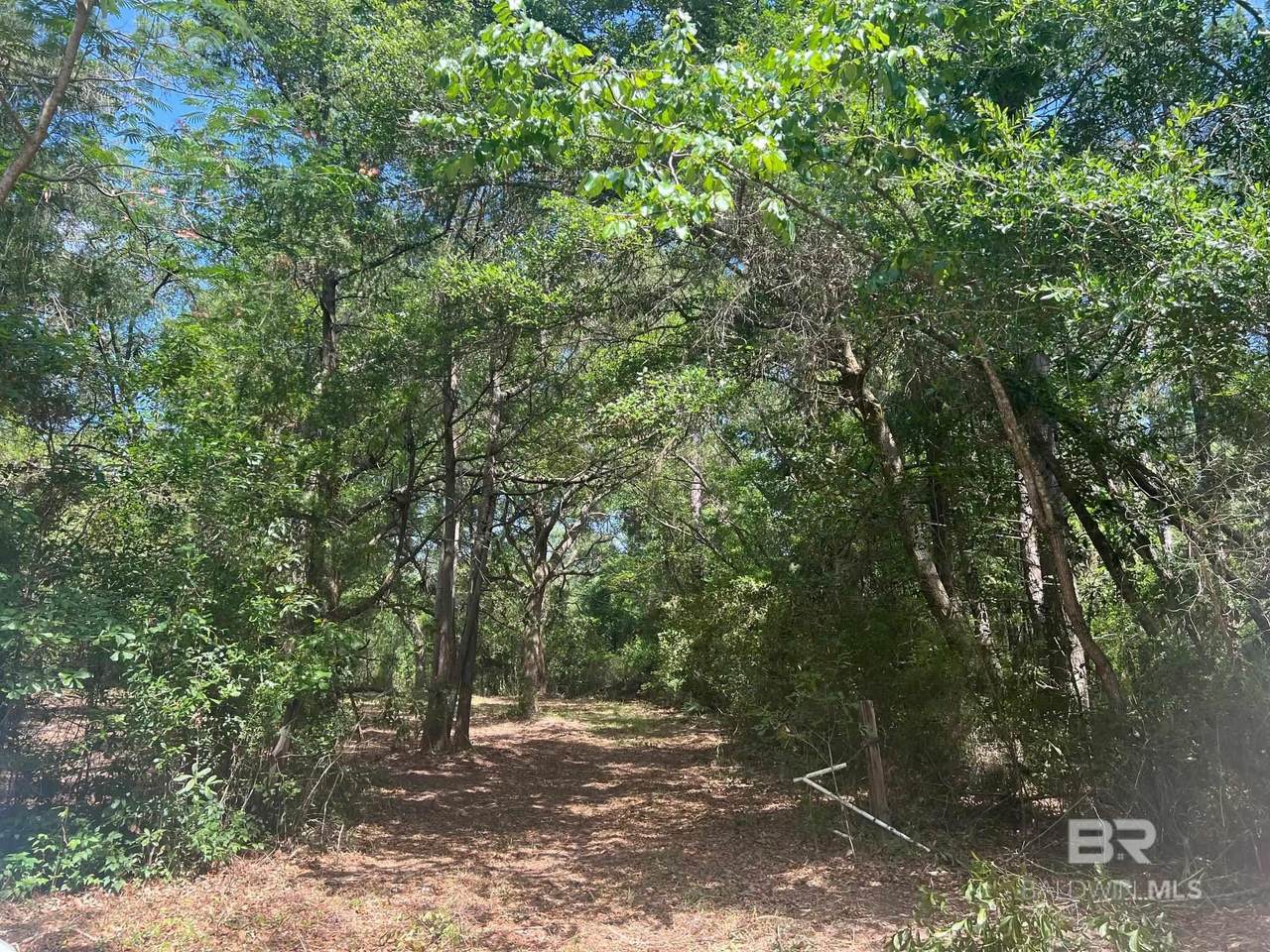 17967 River Road - Photo 1