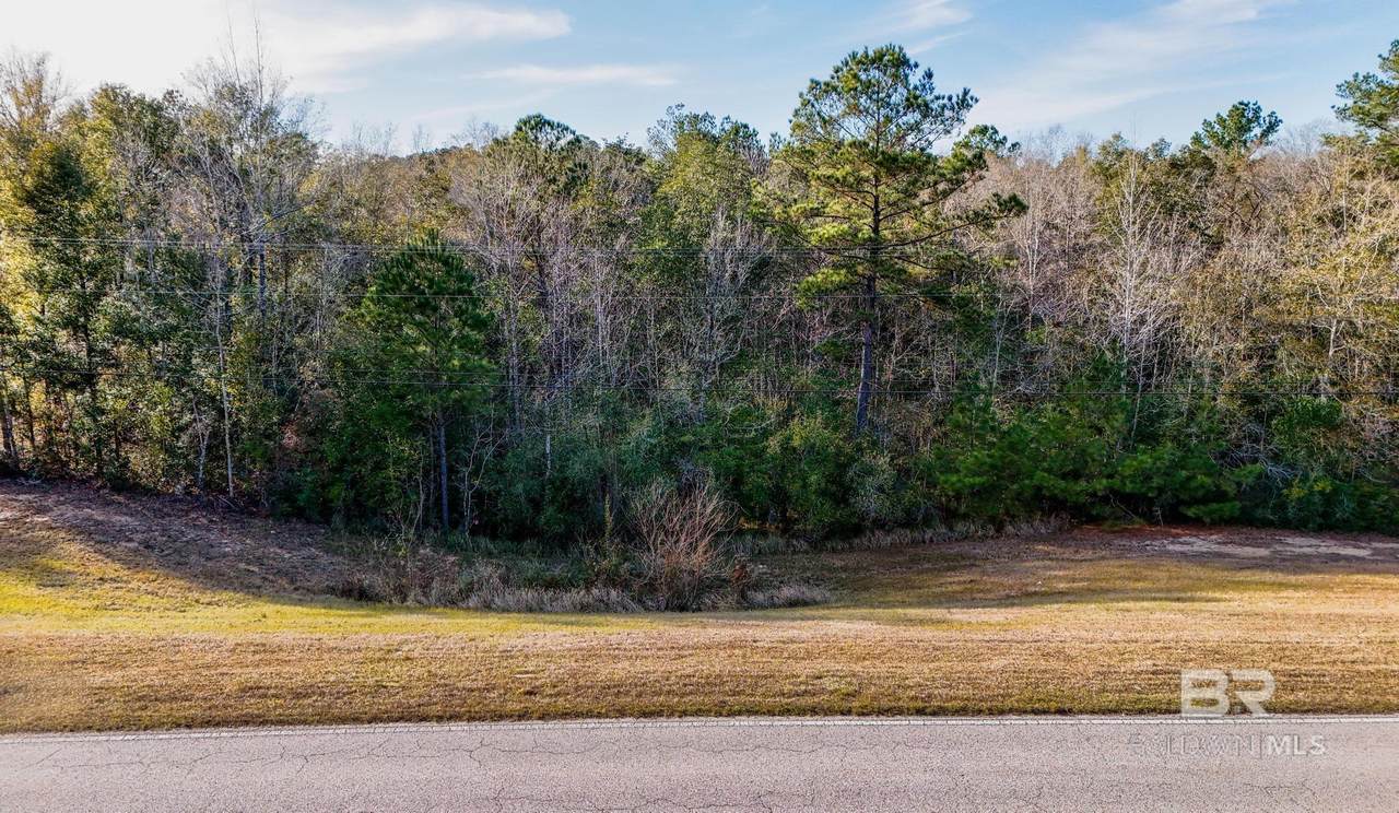 33521 Jimmy Faulkner Drive - Photo 1