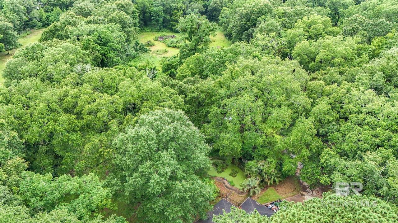 27103 State Highway 181 - Photo 1