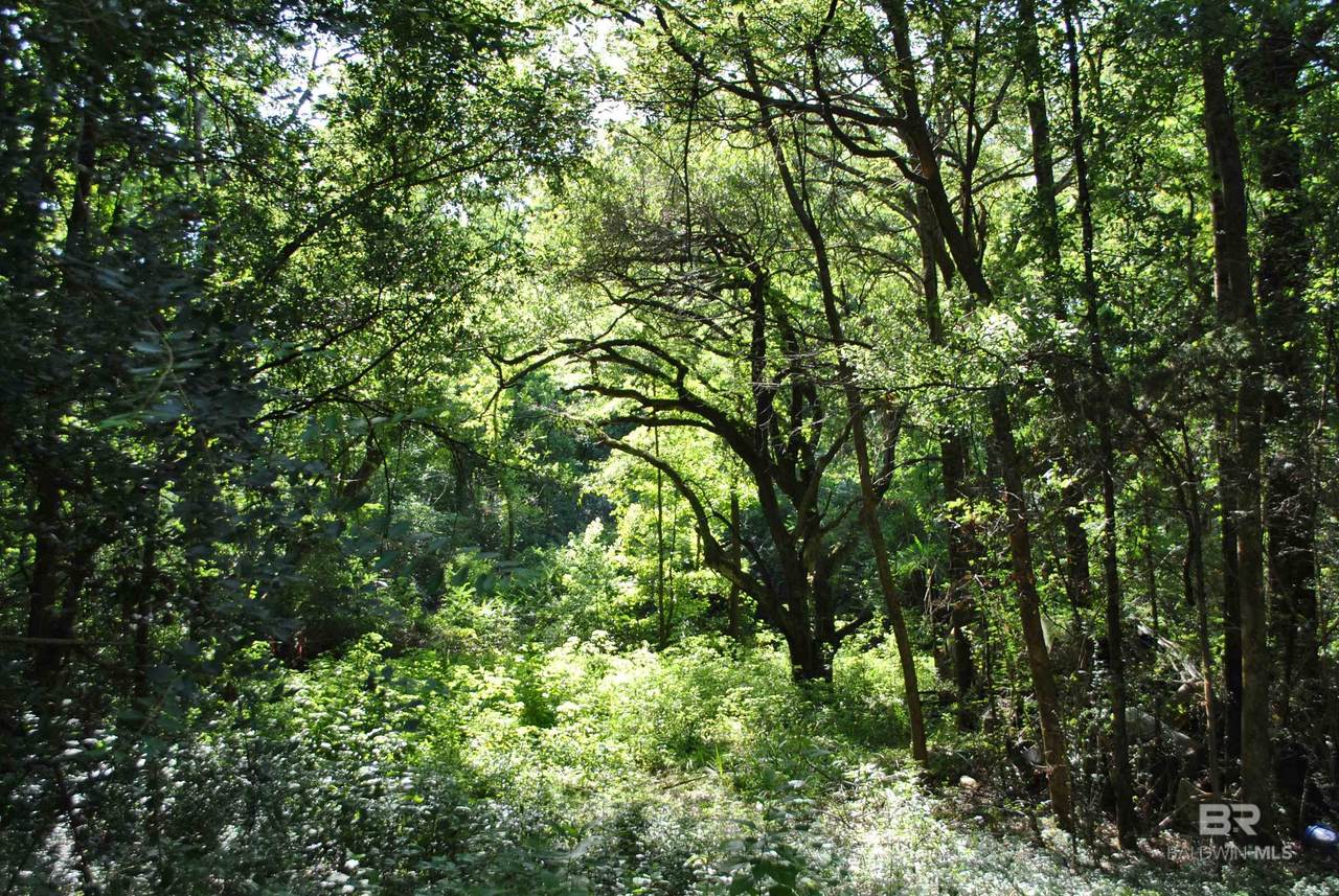 0 Boothe Road - Photo 1