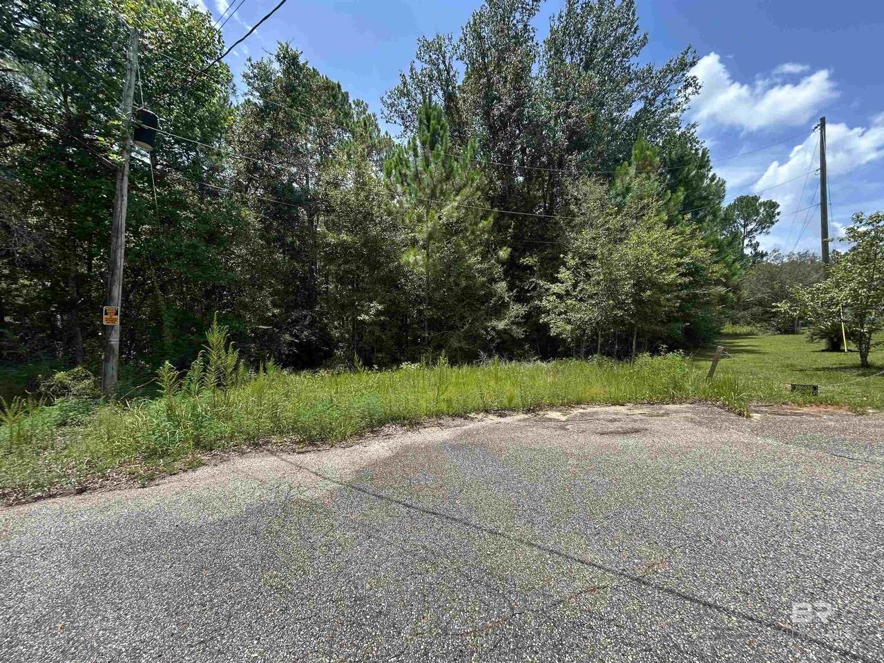 10790 Cattle Branch Court - Photo 1