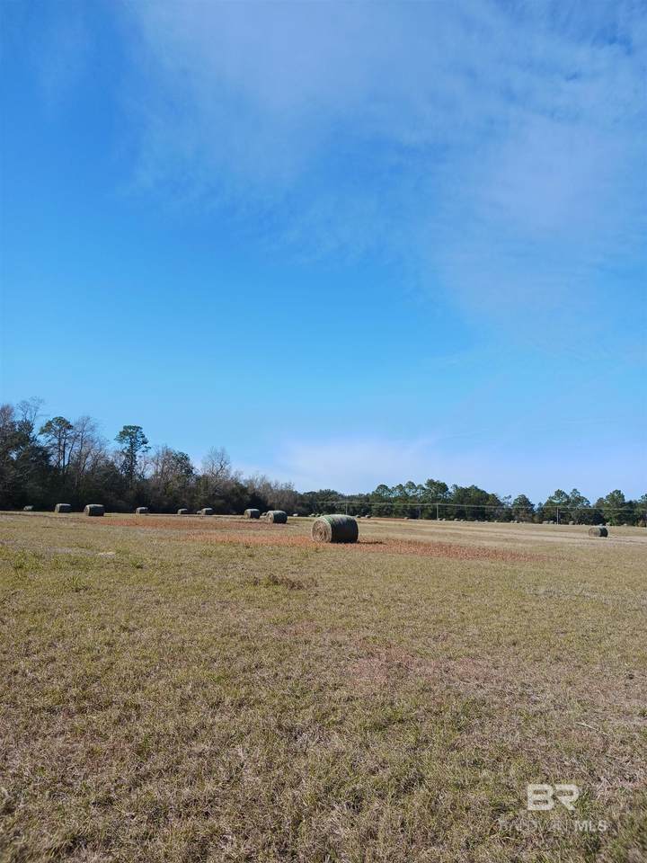 23486 County Road 36 - Photo 1