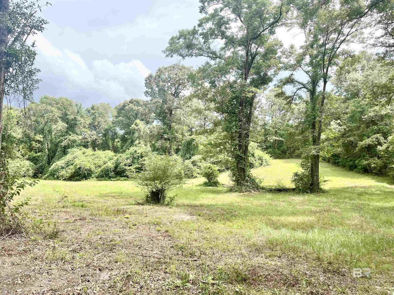 4599 Brushy Creek Road - Photo 1