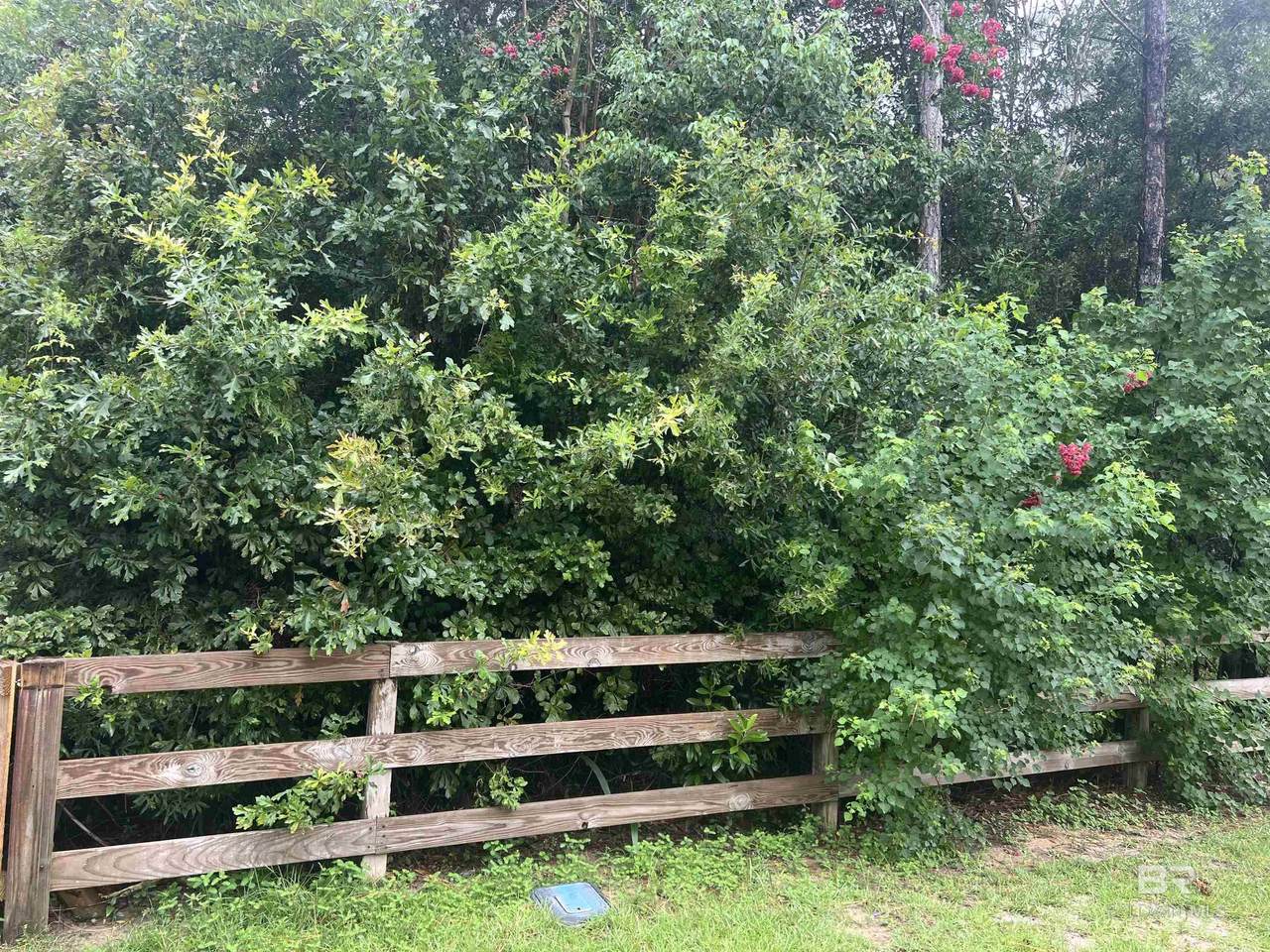 00 Etta Smith Road - Photo 1
