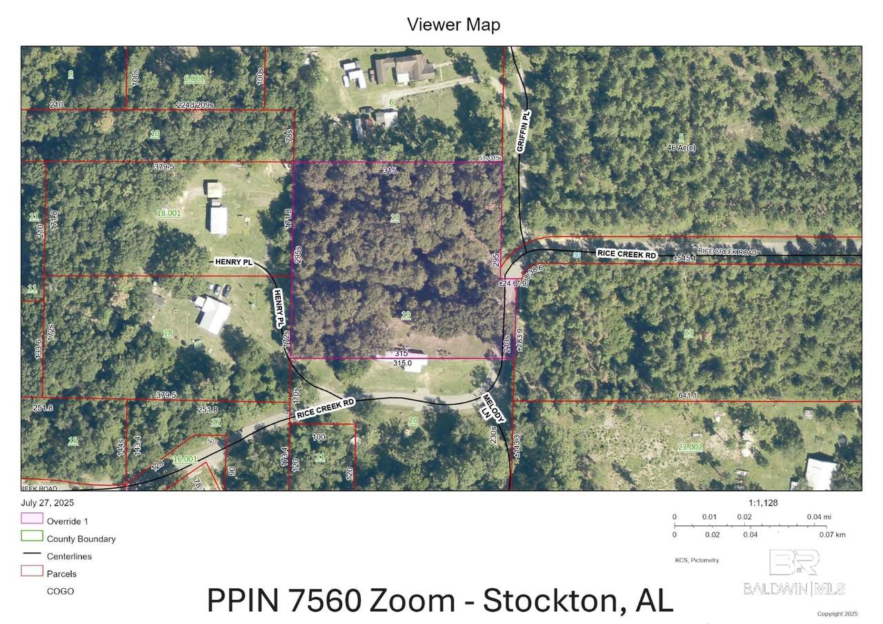 9201 Rice Creek Road - Photo 1