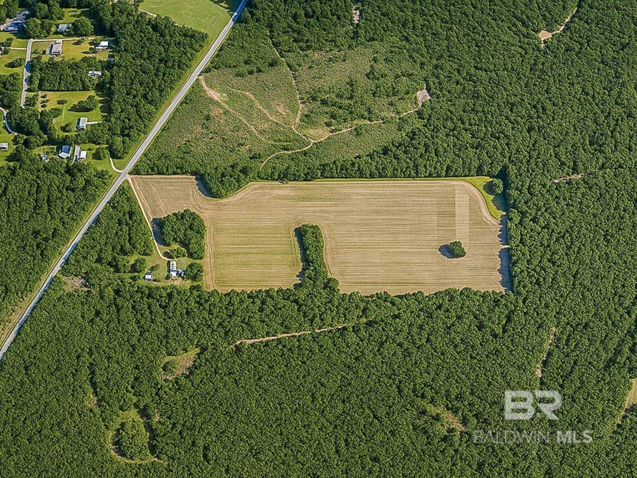 33990 Us Highway 31 - Photo 1