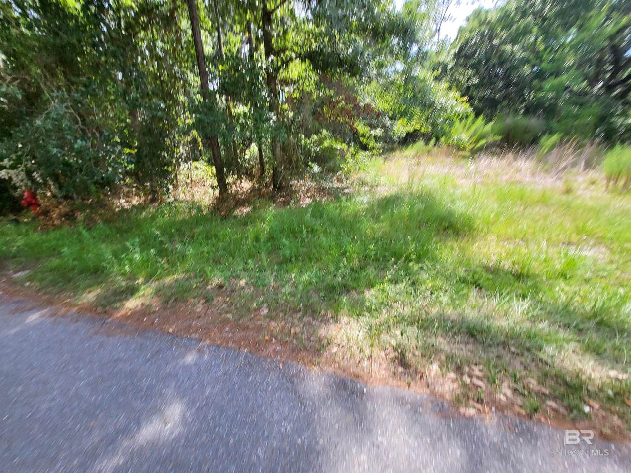Lots 18 &19 Wallace Circle - Photo 1