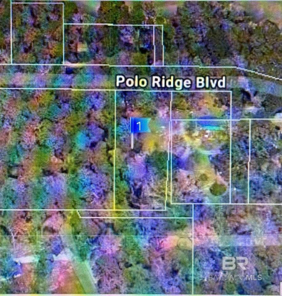 17580 Wasp Place - Photo 1