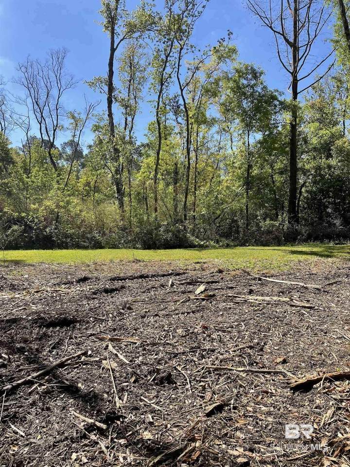 804 Cee Bee Street - Photo 1