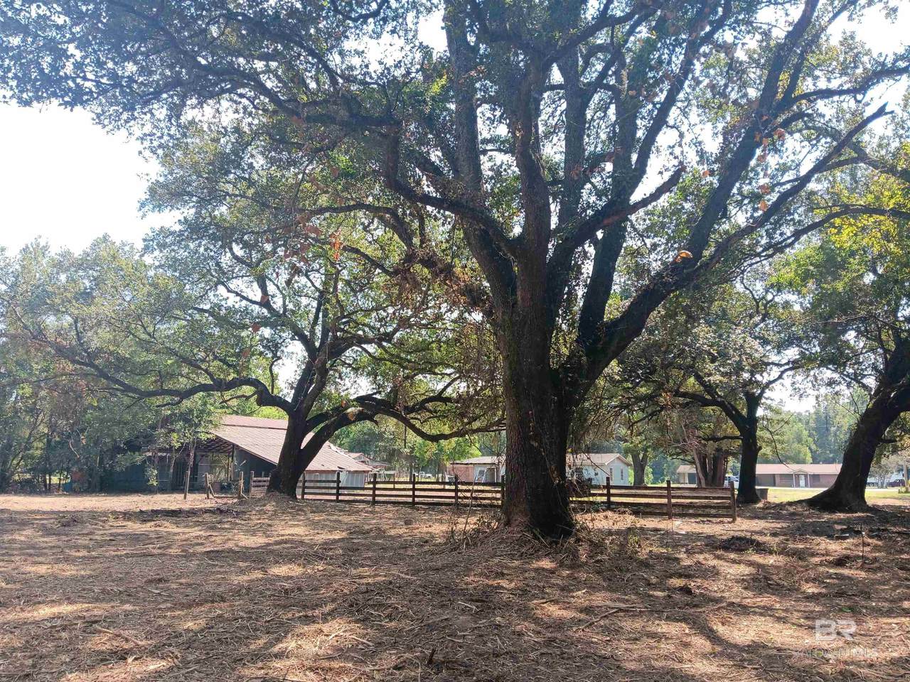 16253 Tolbert Road - Photo 1