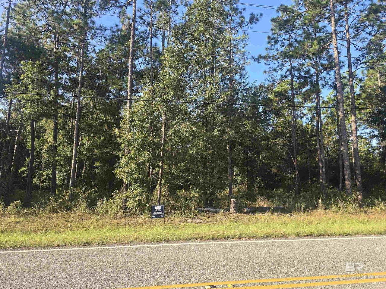 12164 Bromley Road - Photo 1