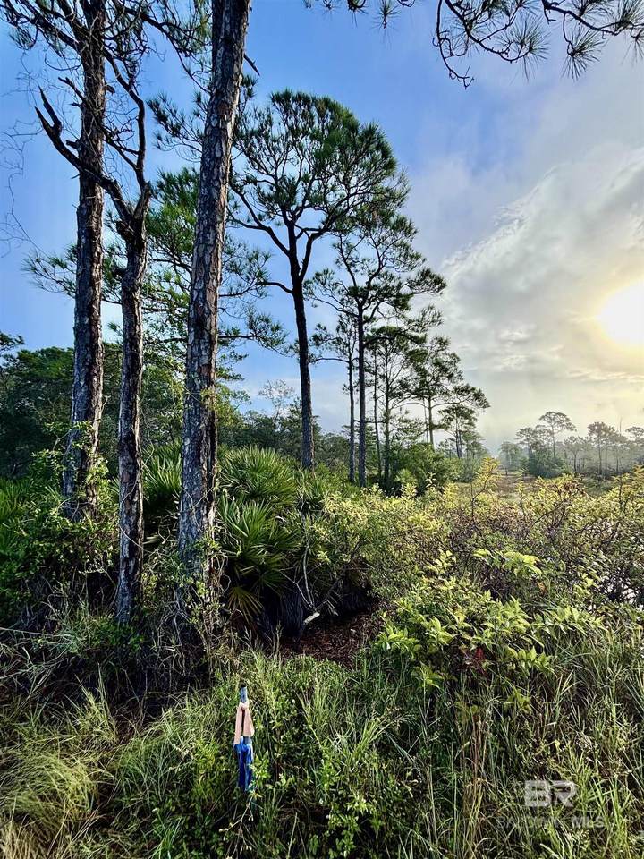 0 Gulf Crest Drive - Photo 1