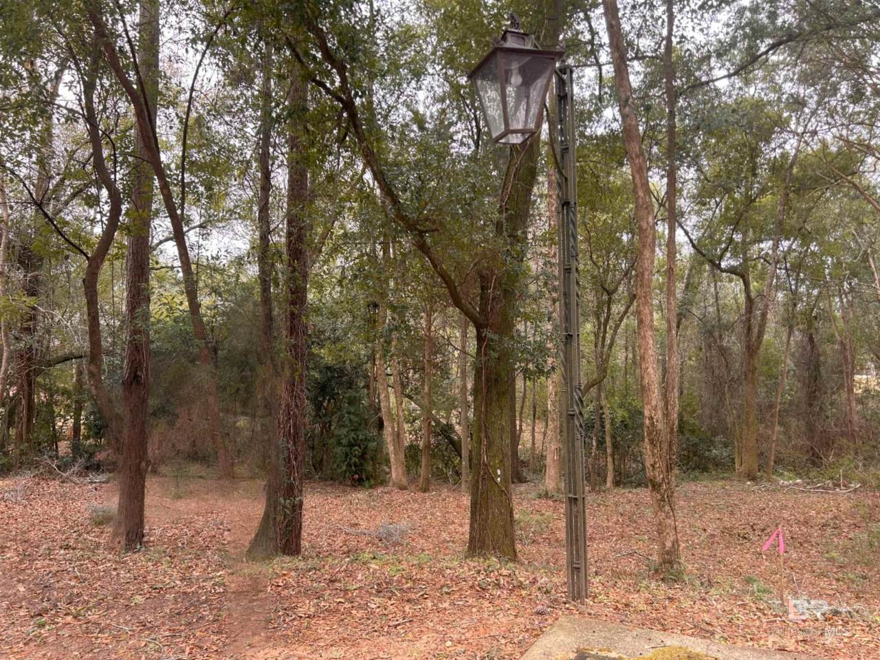 16 Viale Bellezza - Photo 1