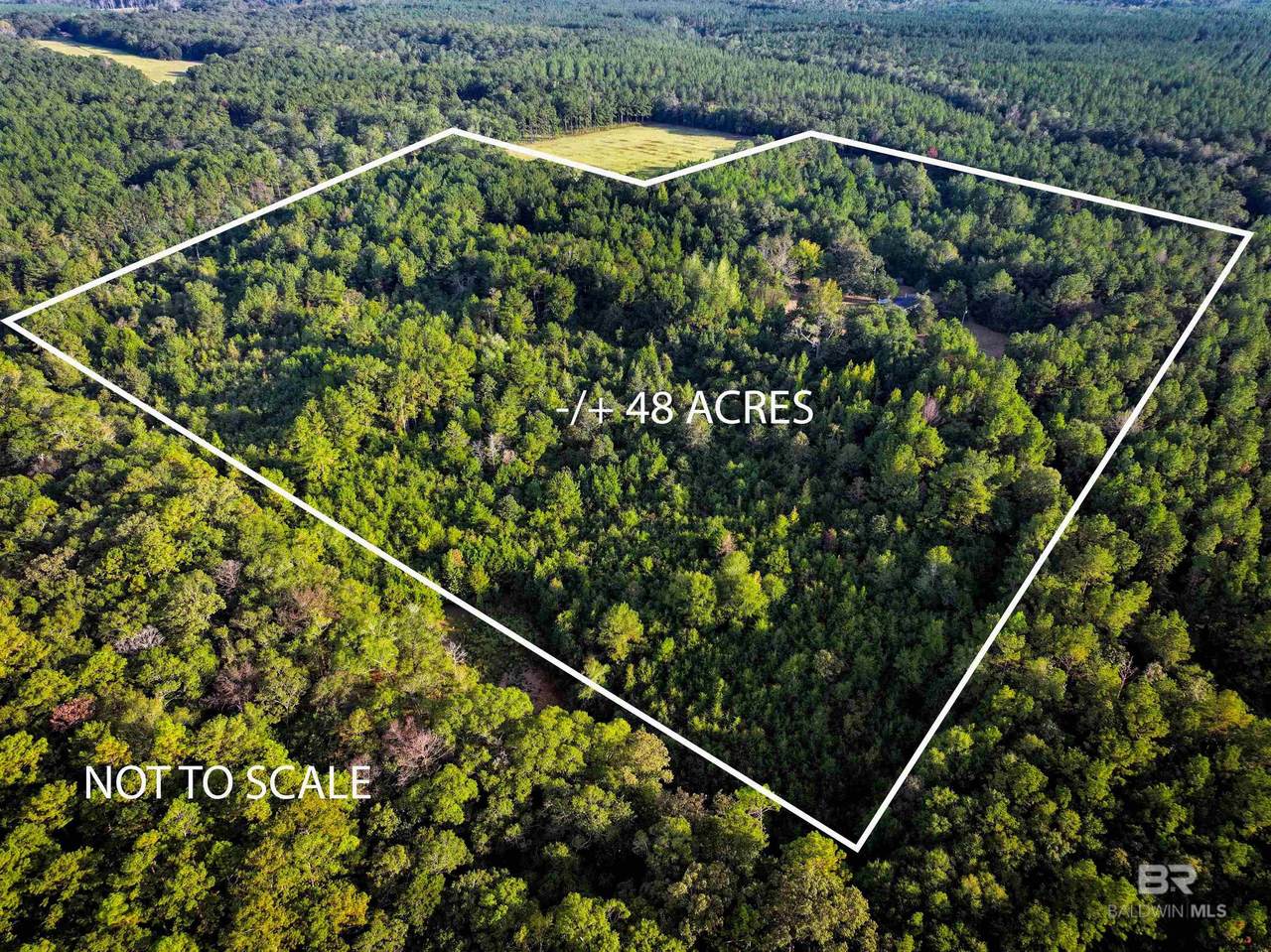 3346 Hoomesville Road - Photo 1