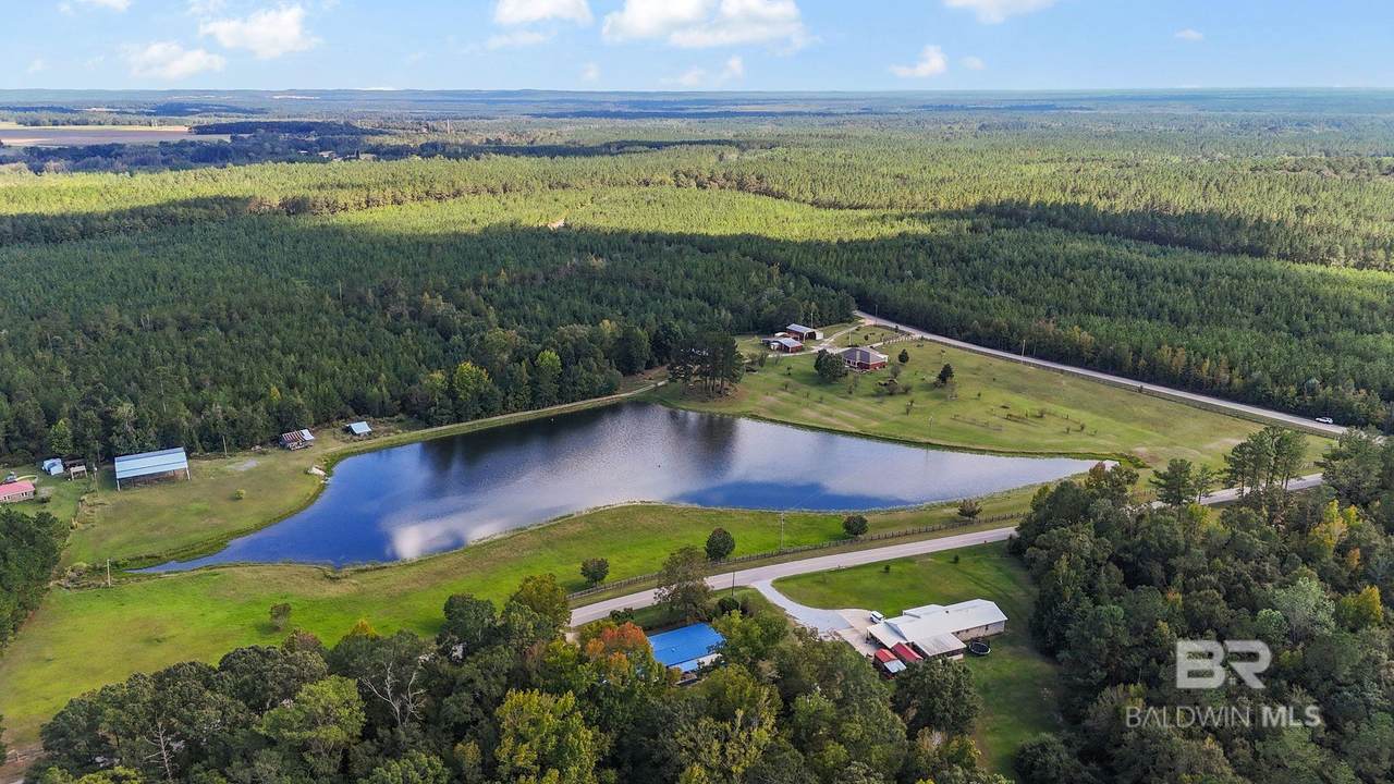 888 Mobile Cutoff Road - Photo 1