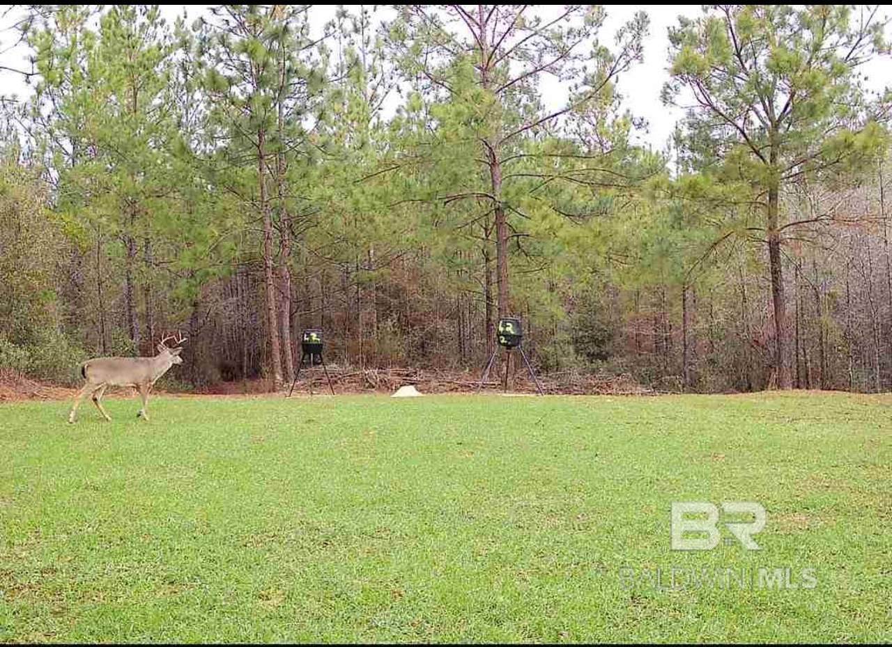 58979 Jack Springs Road - Photo 1