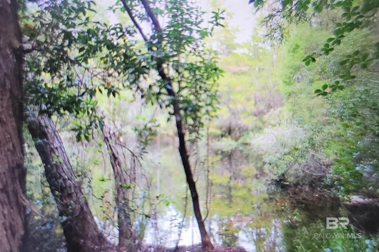 0 Juniper Road - Photo 1