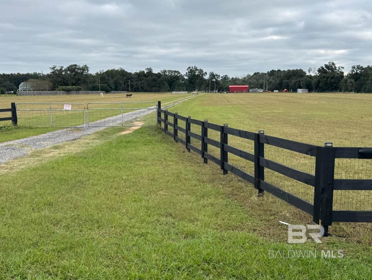 14458 County Road 54 - Photo 1