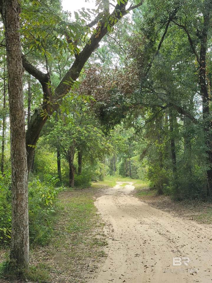 17505 Hansel Hodges Road - Photo 1