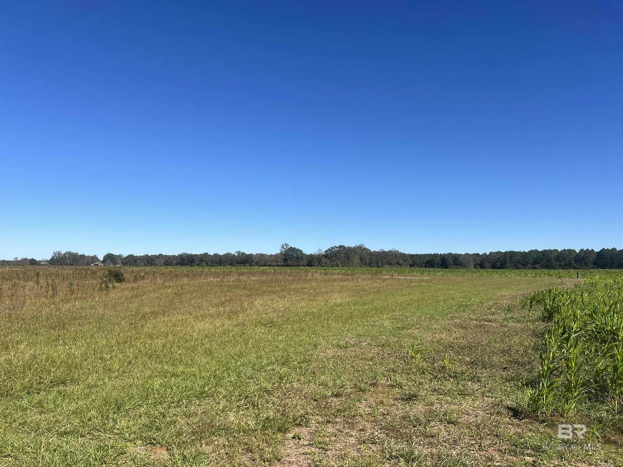 4900 Block Highway 97 - Photo 1