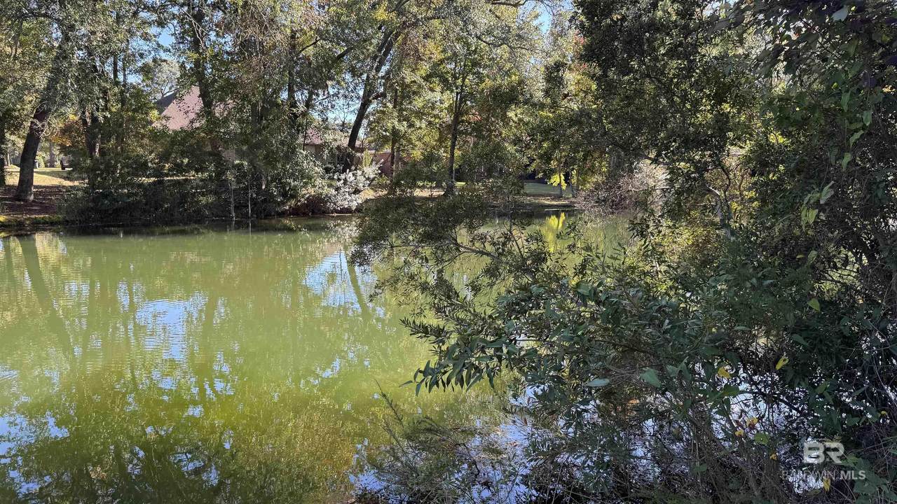 0 Red Eagle Drive - Photo 1