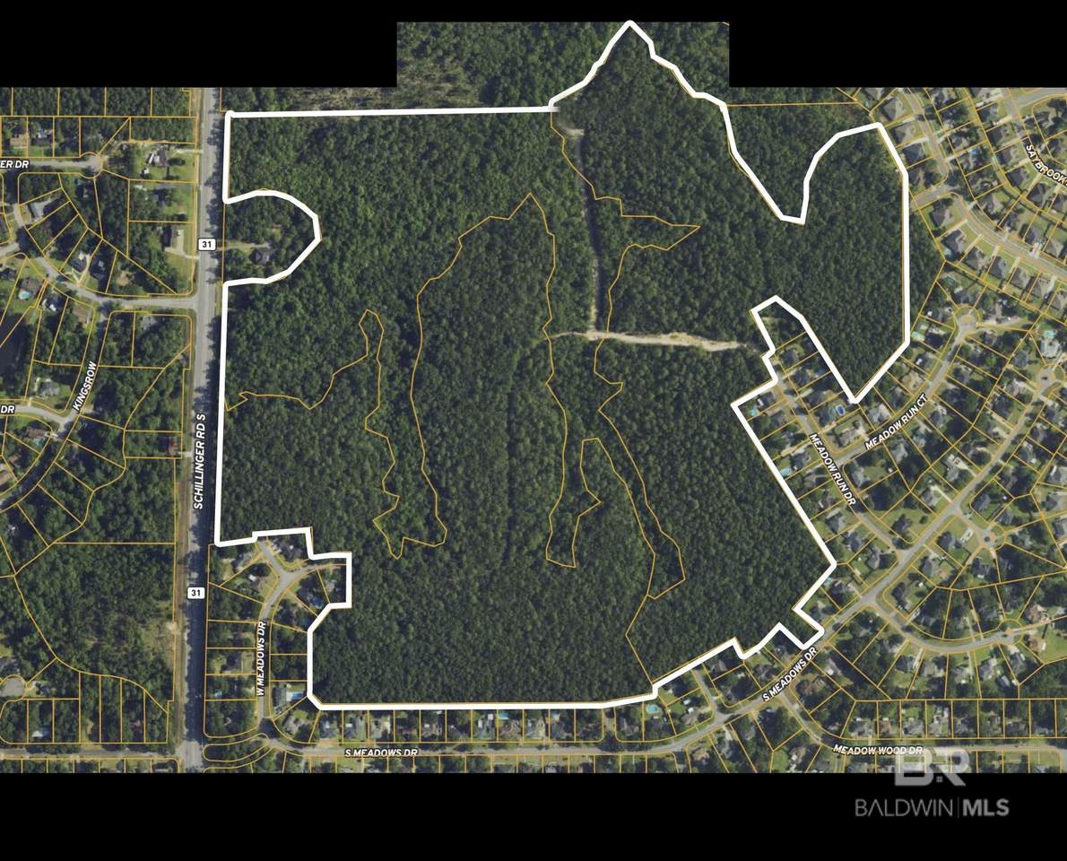 0 Schillinger Road - Photo 1