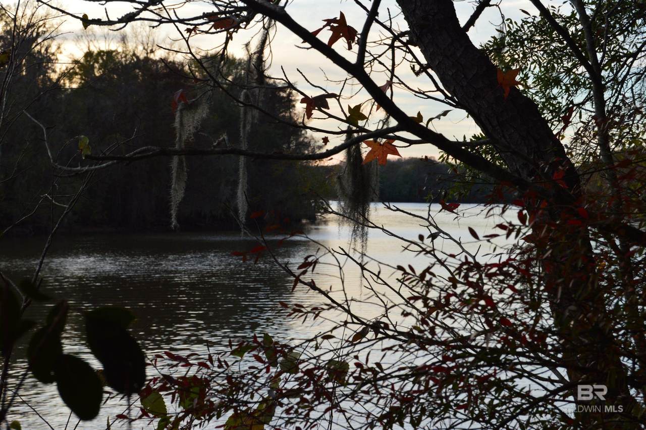 8 Marlin Street - Photo 1