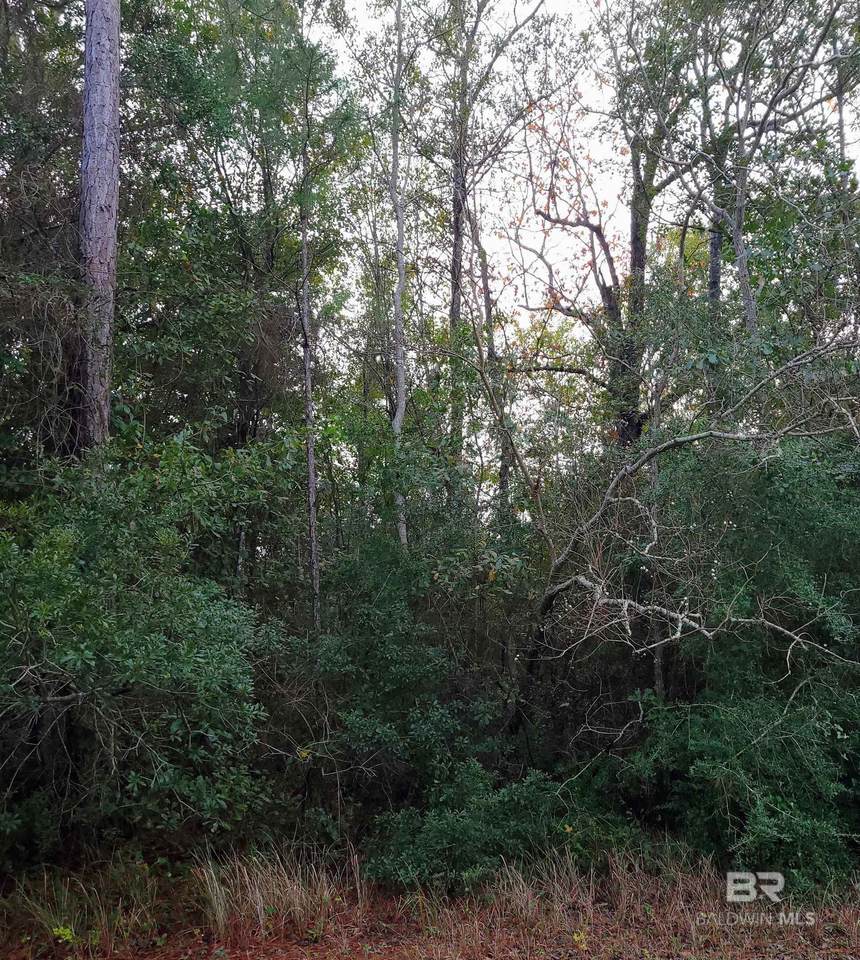 00 Us Highway 98 - Photo 1