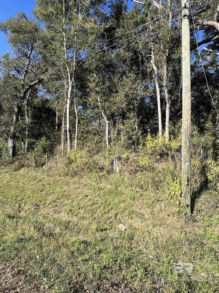 6475 Todd Acres Drive - Photo 1