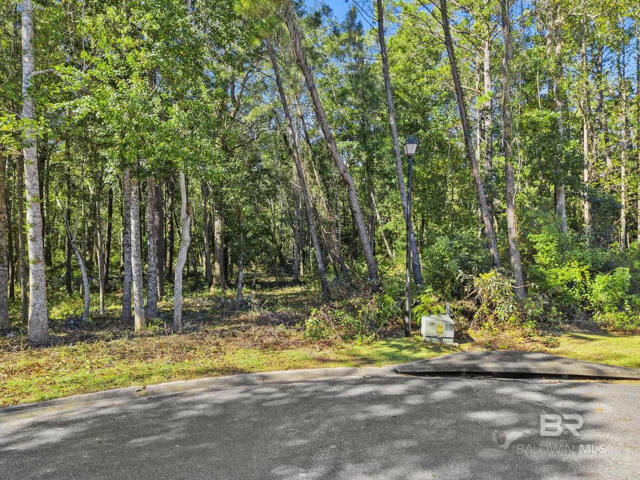 0 Saddlewood Lane - Photo 1
