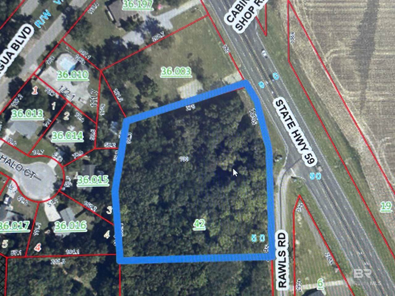 25413 Highway 59 - Photo 1