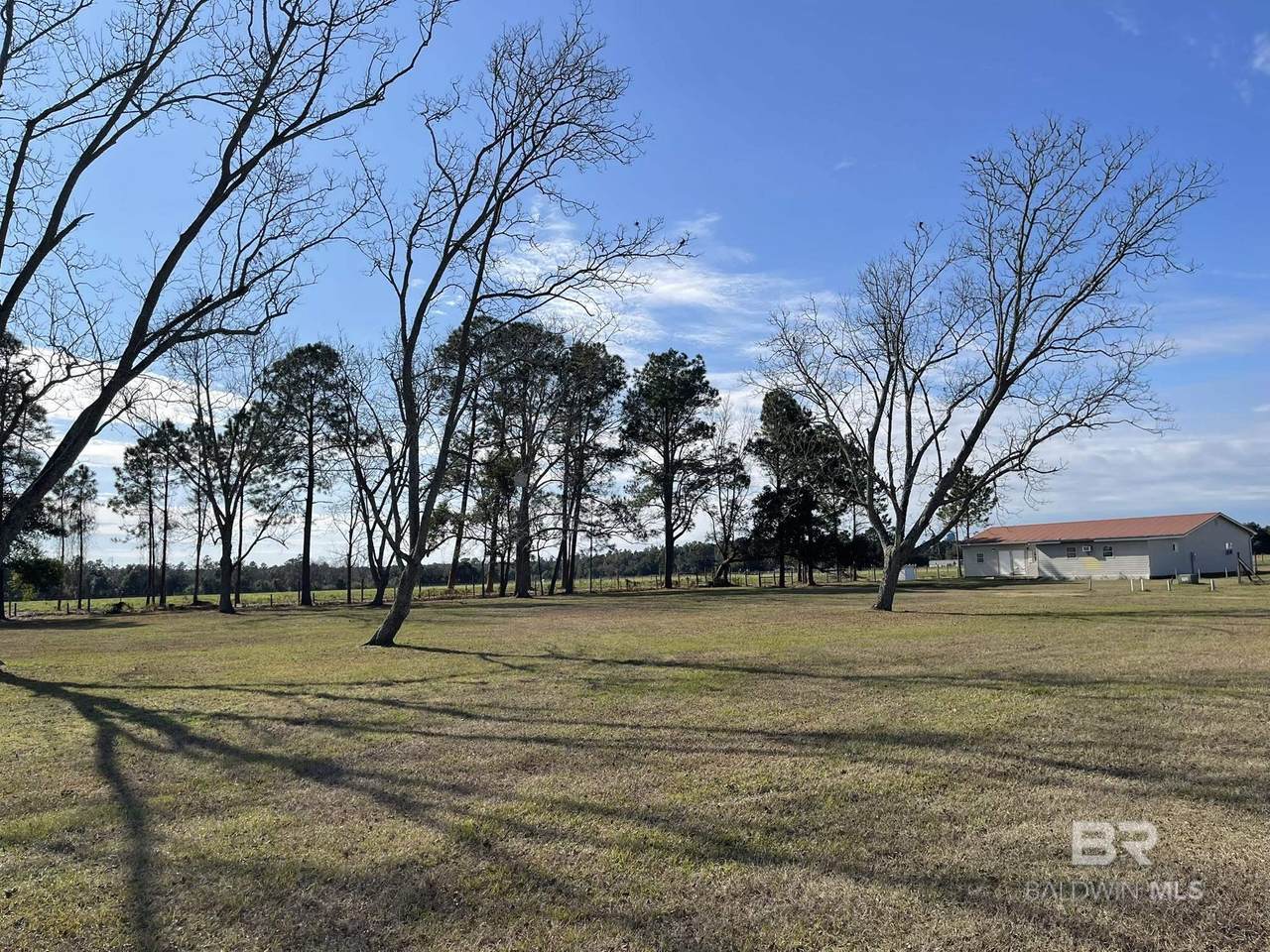 11271 John Bloch Road - Photo 1