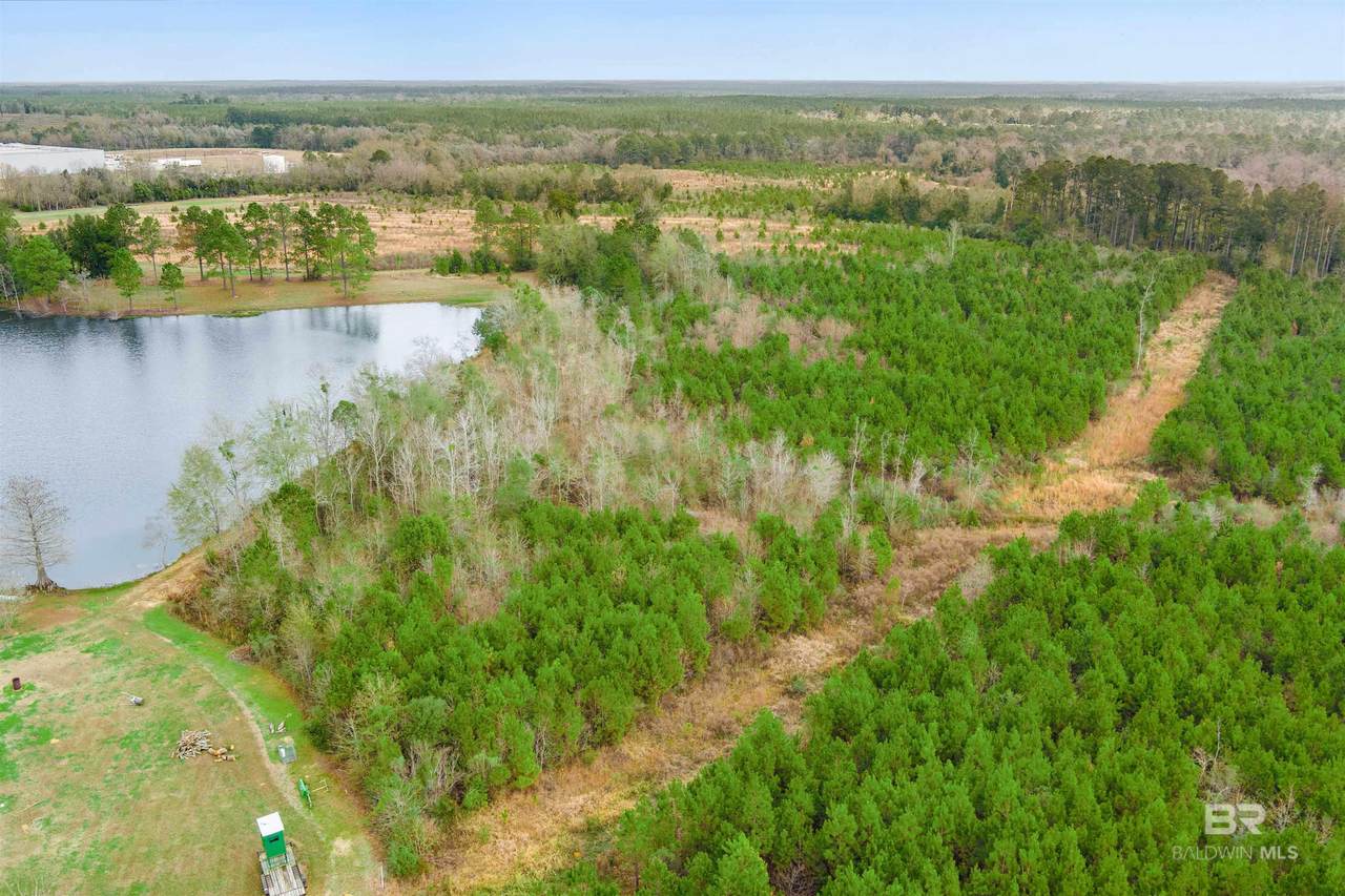 30380 County Road 49 - Photo 1