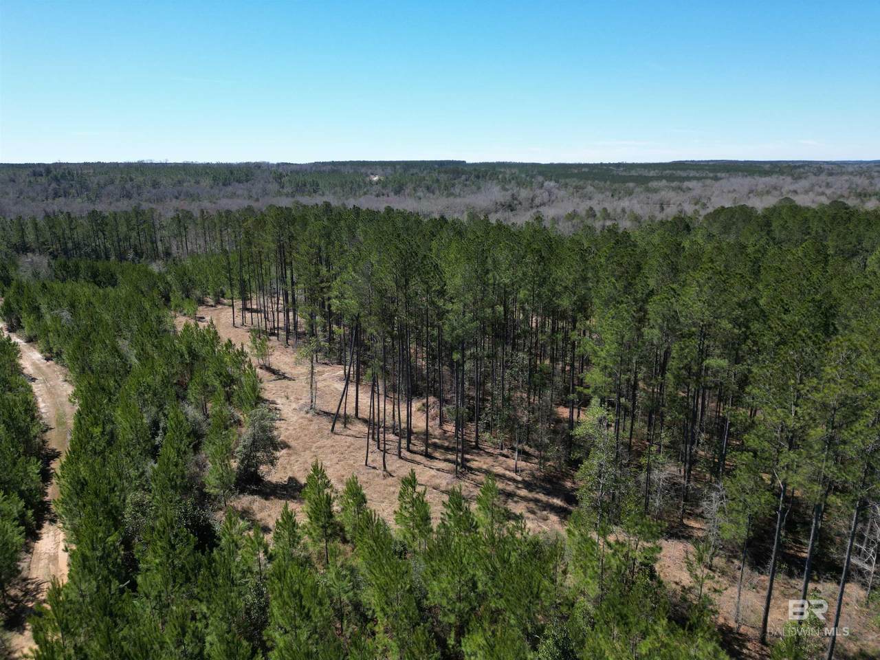 00 Robinsonville Road - Photo 1