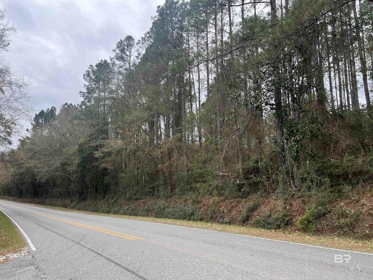 3000 Block Pine Barren Road - Photo 1