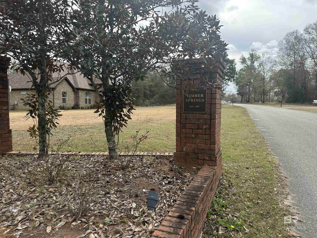 0 Timber Springs Drive - Photo 1