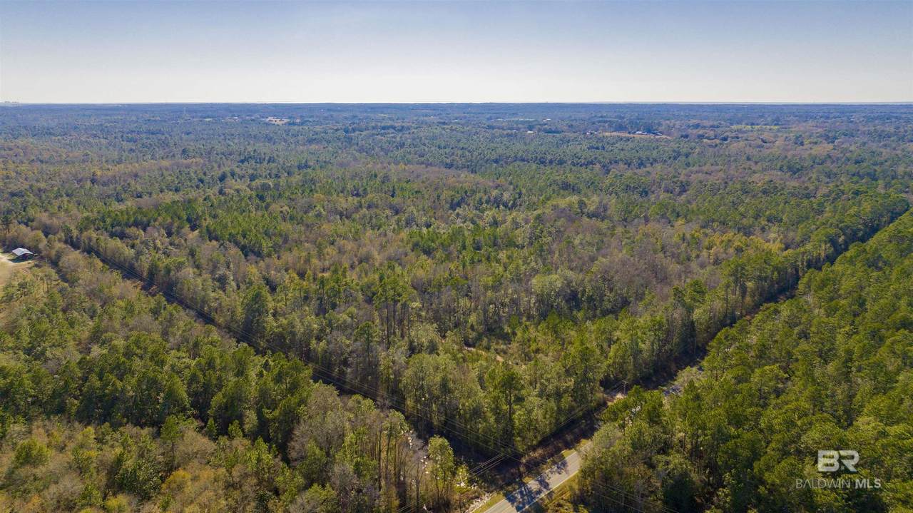12960 County Road 48 - Photo 1