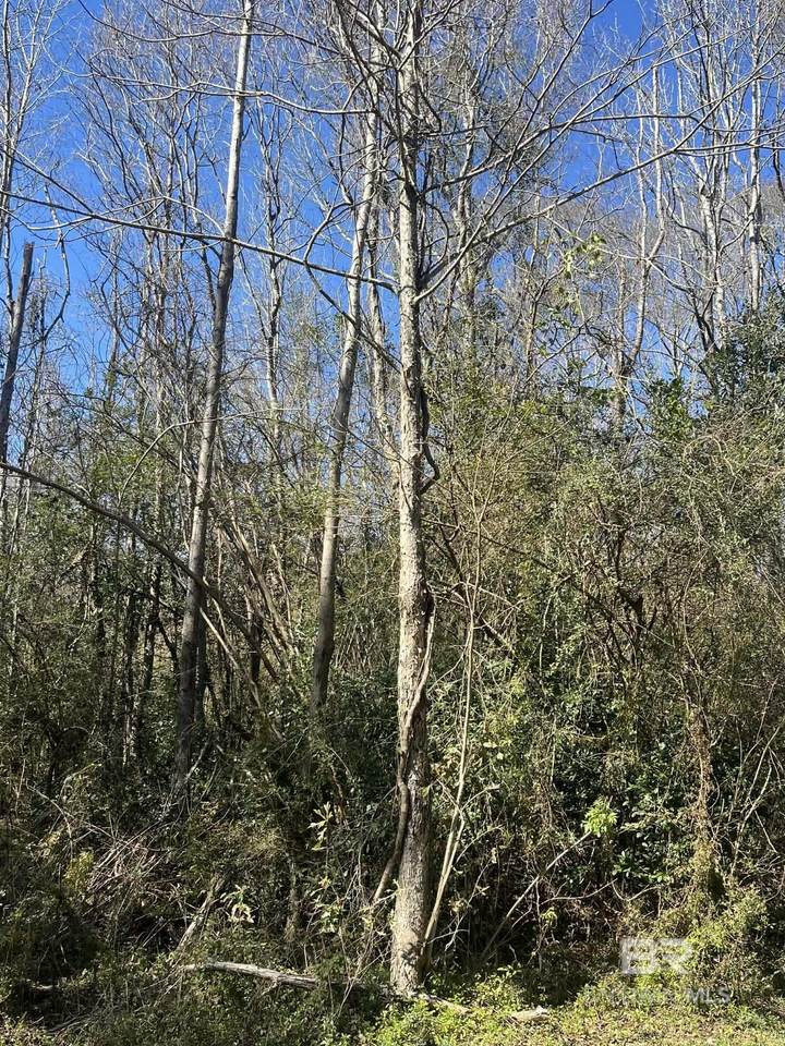  Abernathy Avenue - Photo 1
