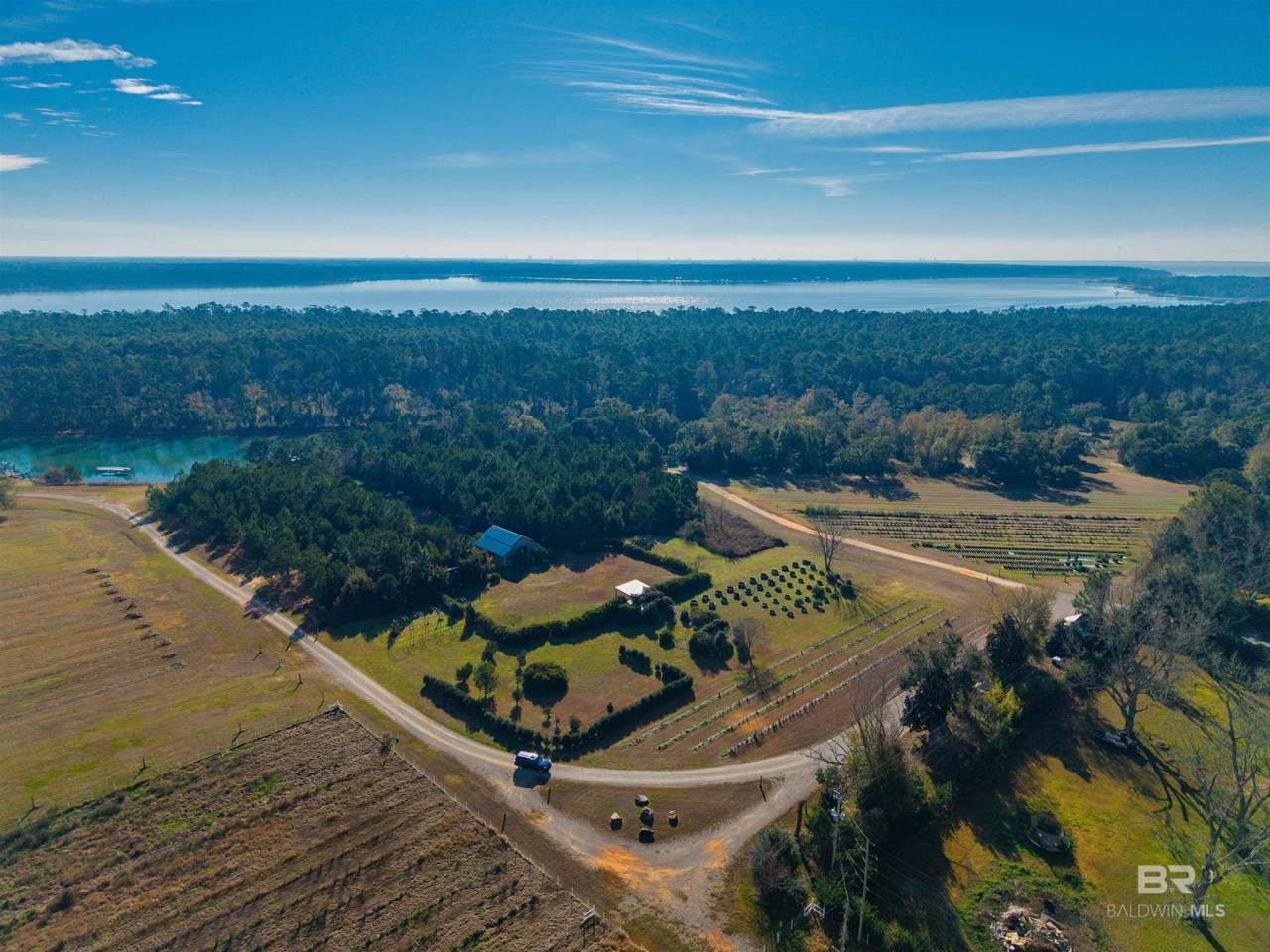 12562 Mary Ann Beach Road - Photo 1
