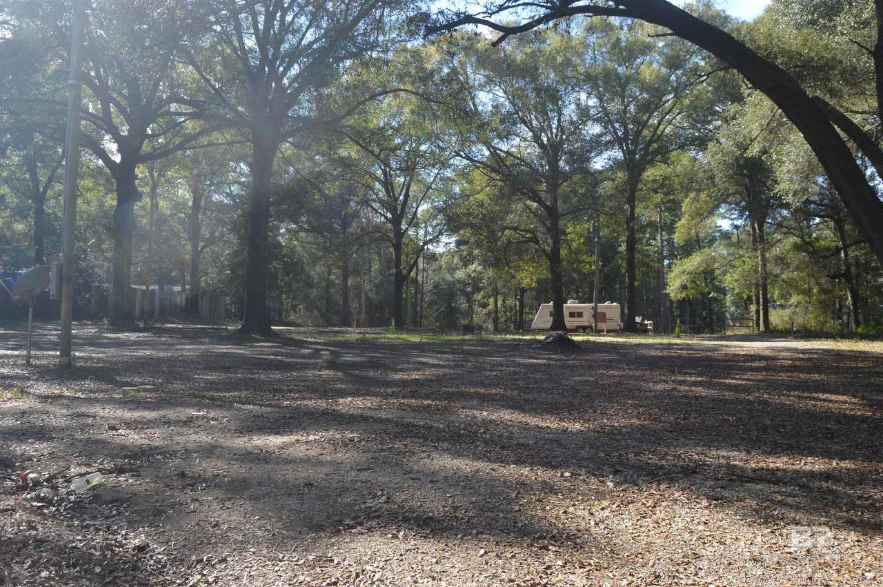 14842 County Road 9 - Photo 1