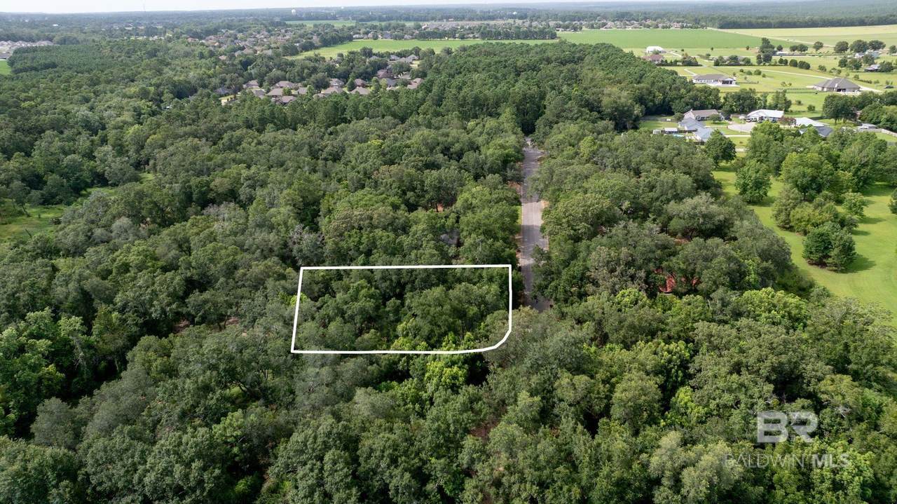 Lot 10 Caney Creek Drive - Photo 1