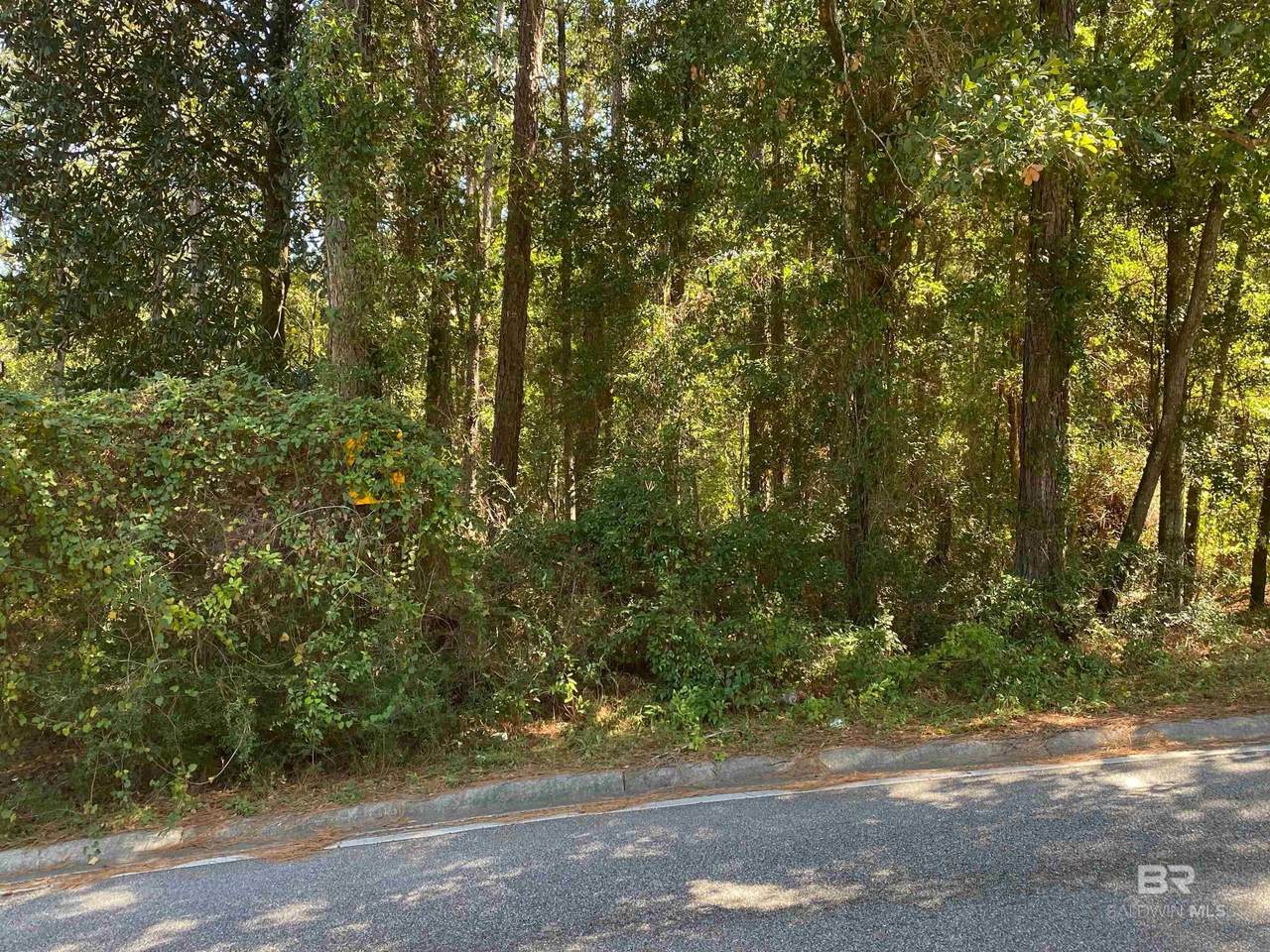 239 Bayview Drive - Photo 1