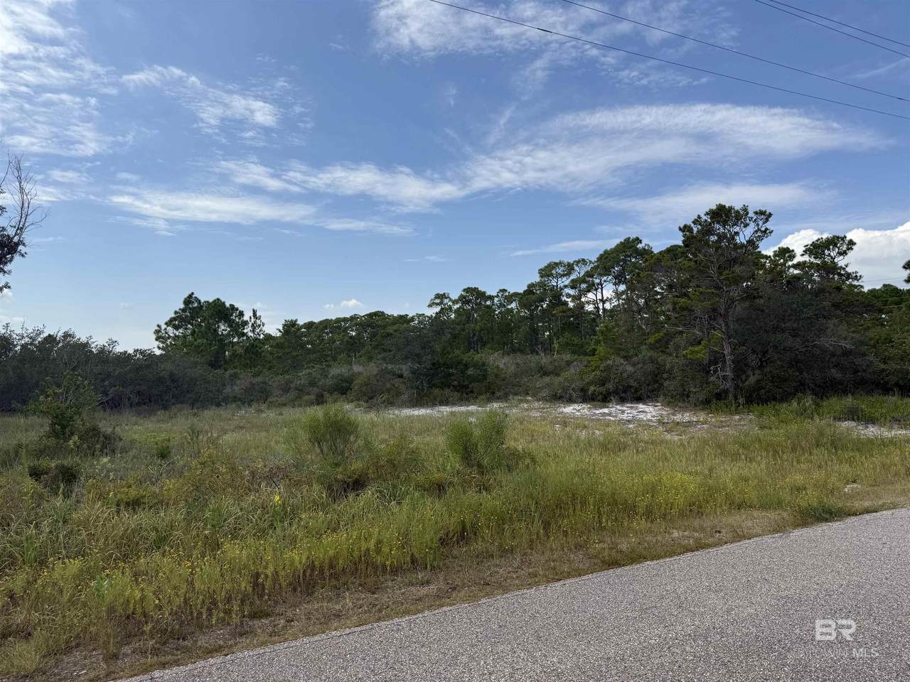  Fort Morgan Highway - Photo 1
