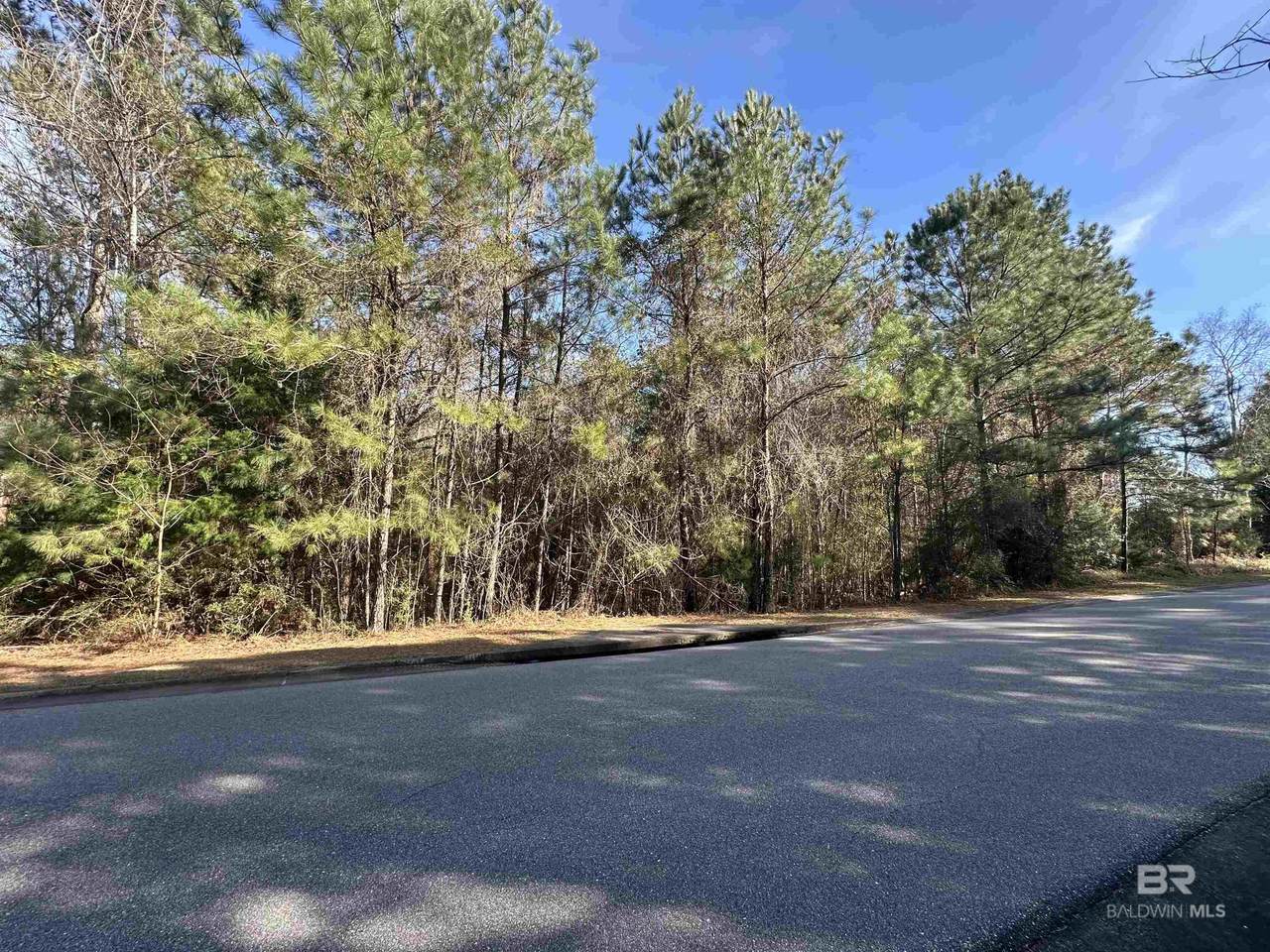 0 Boardwalk Drive - Photo 1