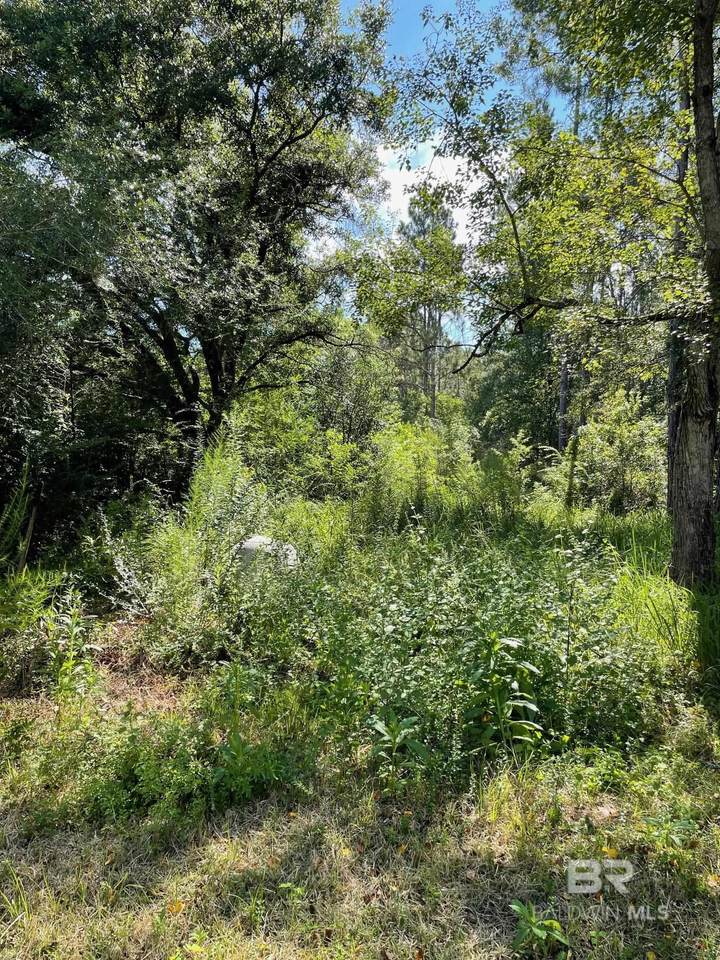 20150 County Road 87 - Photo 1