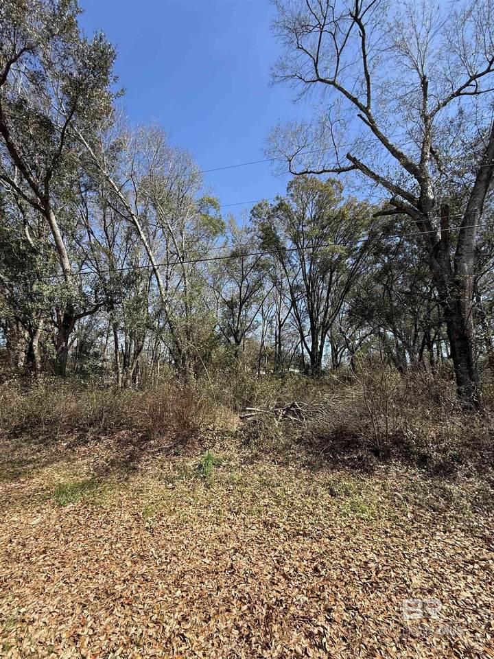 0 Hill-N-Dale Drive - Photo 1