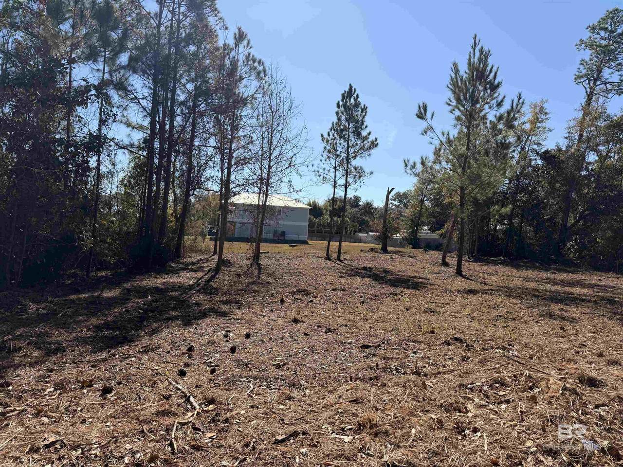 5308 Pine Road - Photo 1