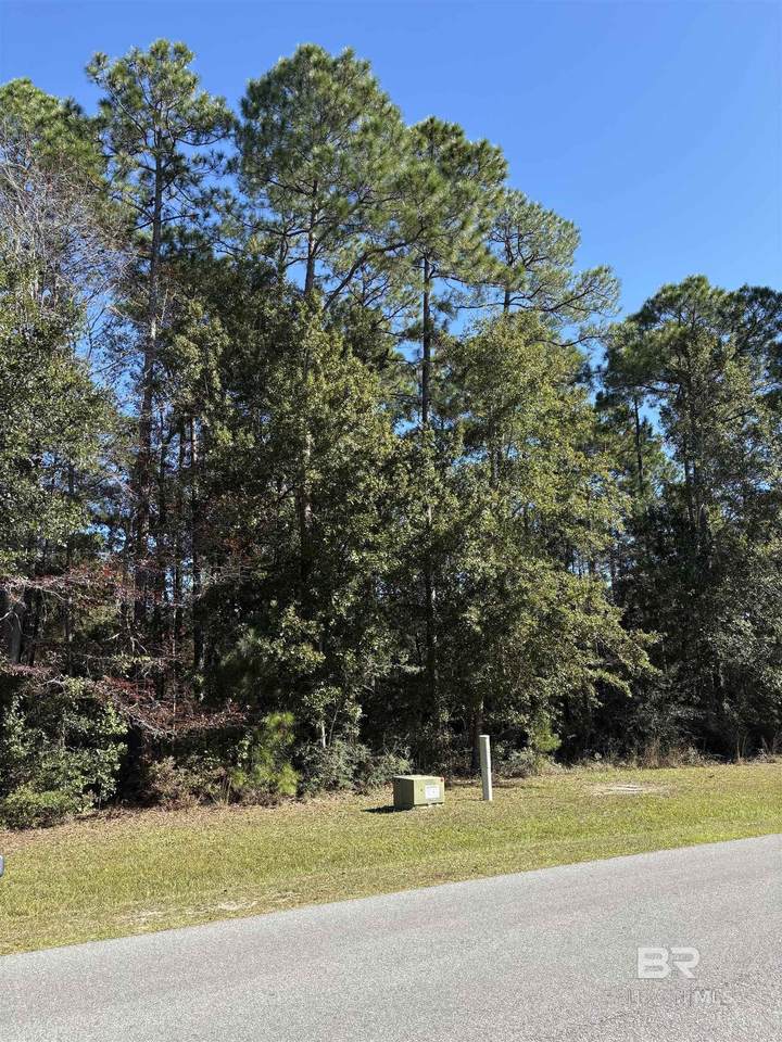 Lot 85 Treasure Oaks Road - Photo 1